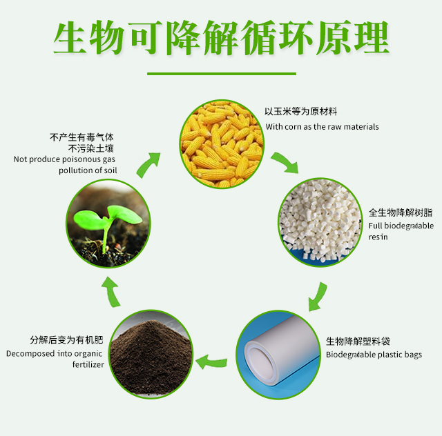 世界各國禁塑令-生物降解袋市場(chǎng)機(jī)遇來了(圖1)