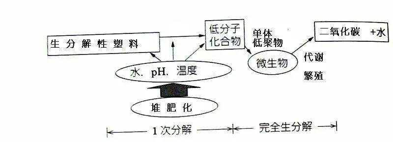 可生物降解環(huán)保塑料可以回收再利用嗎？(圖3)