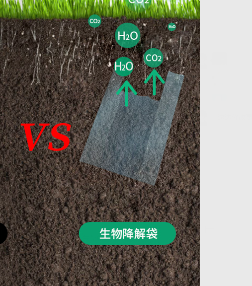 可生物降解環(huán)保塑料可以回收再利用嗎？(圖1)