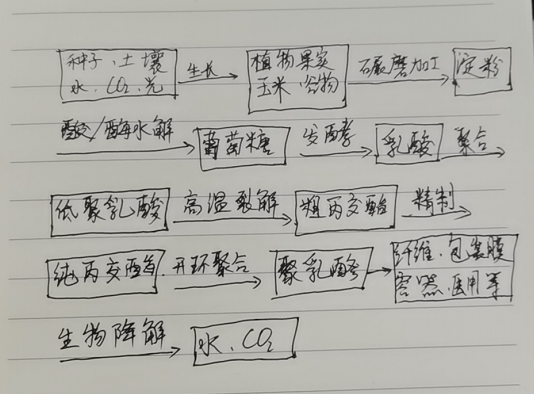 生物降解袋中的PLA是如何制得的？(圖1)