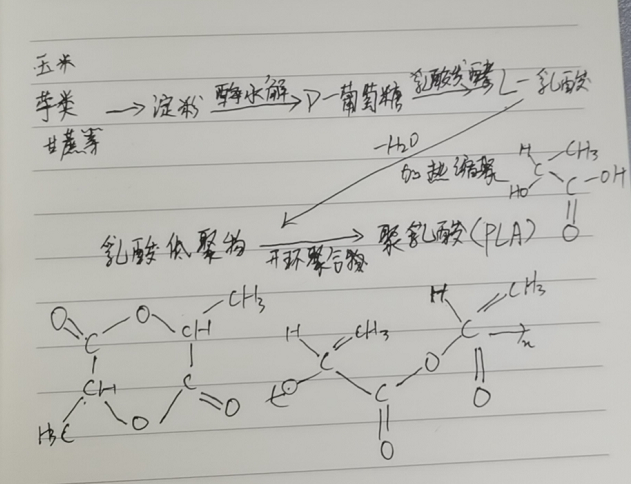 生物降解袋中的PLA是如何制得的？(圖2)